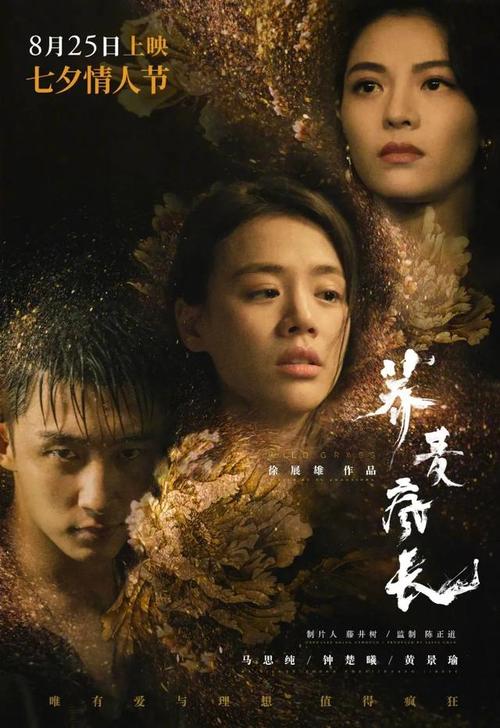 高中毕业证钢印不清晰咋办